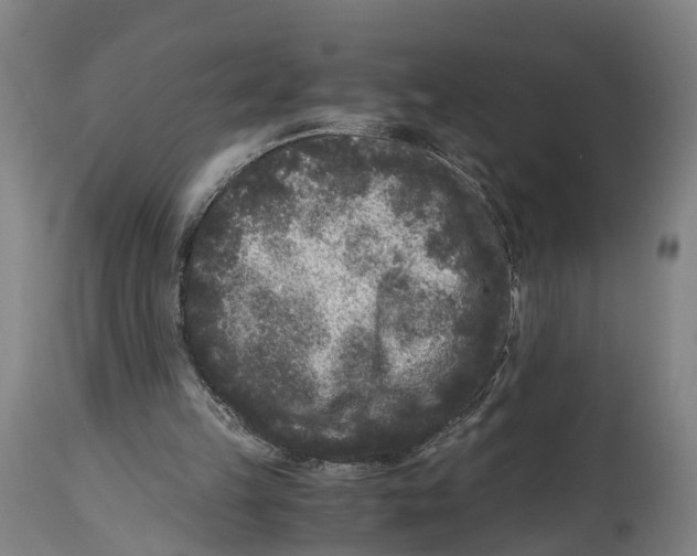 X0000114410149200911131436