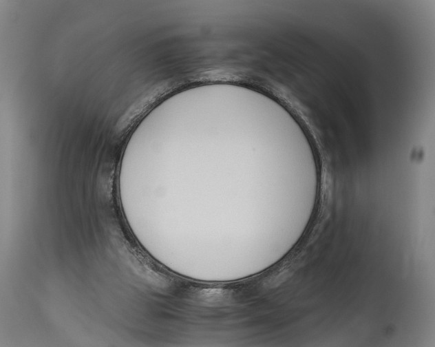 X0000114410153200911131436