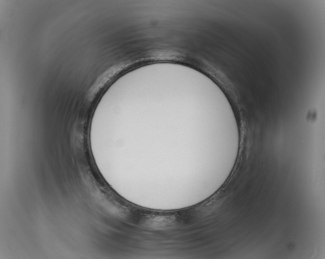 X0000114410155200911131436