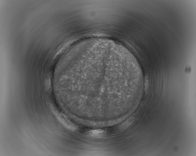 X0000114410158200911131436