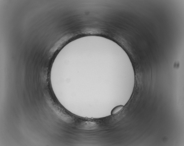 X0000114410159200911131436