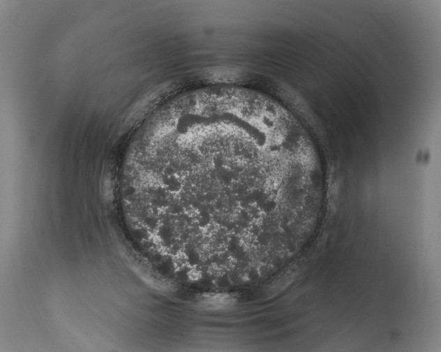 X0000114410161200911131436