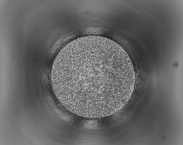 X0000114410162200911131436