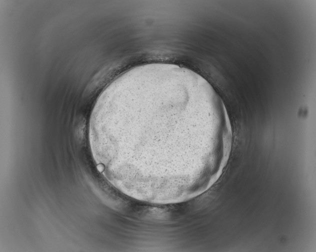 X0000114410166200911131436