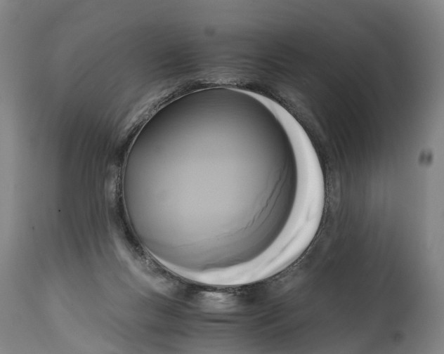 X0000114410167200911131436