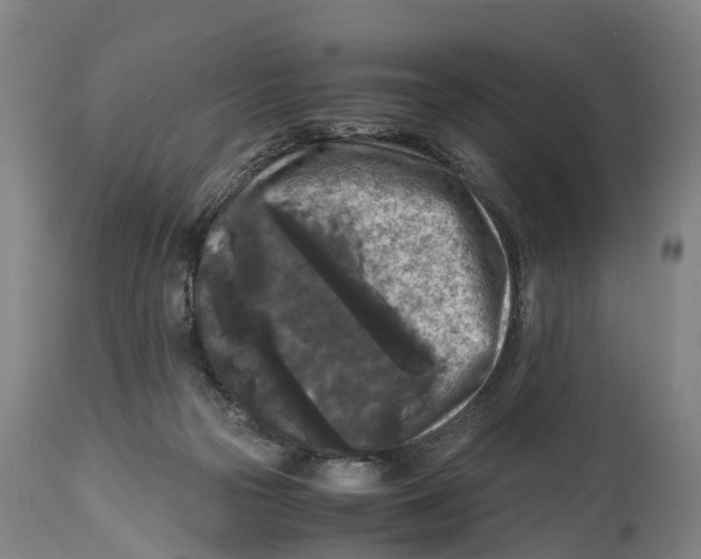 X0000114410169200911131436