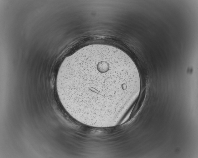 X0000114410174200911131436