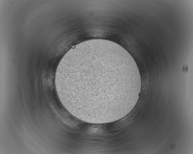 X0000114410175200911131436