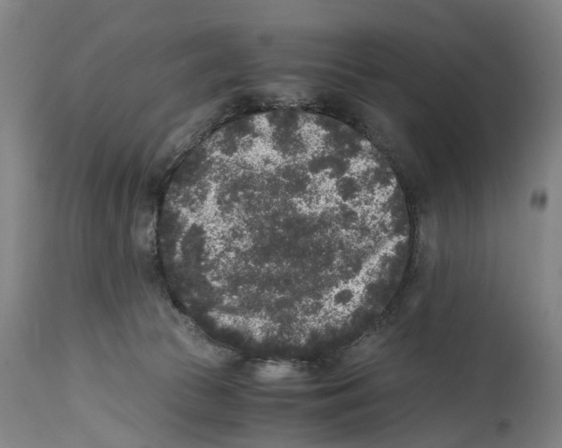 X0000114410177200911131436