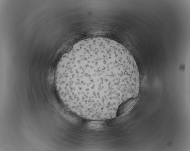 X0000114410179200911131436