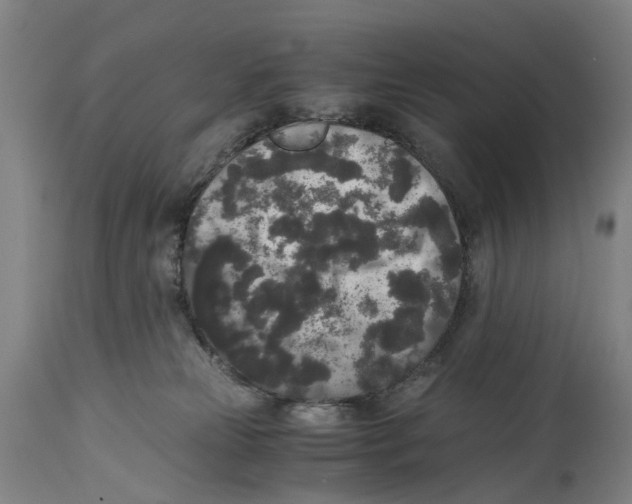 X0000114410181200911131436