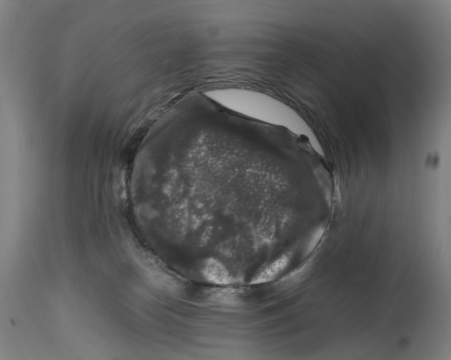 X0000114410182200911131436