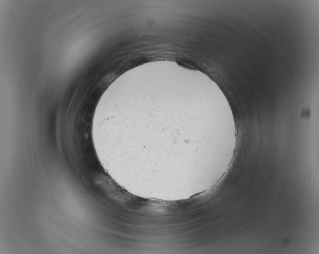 X0000114410190200911131437