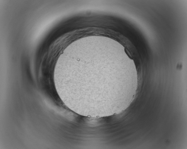 X0000114410191200911131437