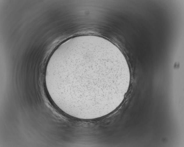 X0000114410193200911131436