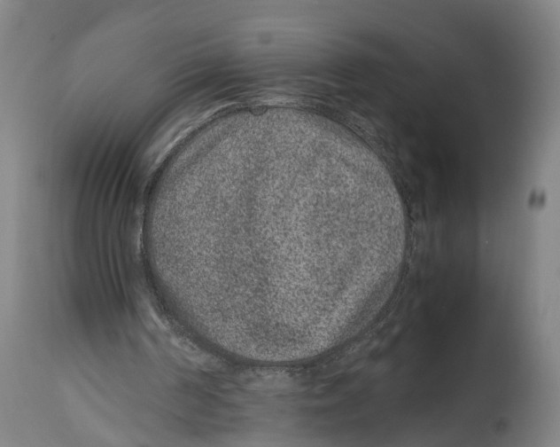 X0000114410194200911131436