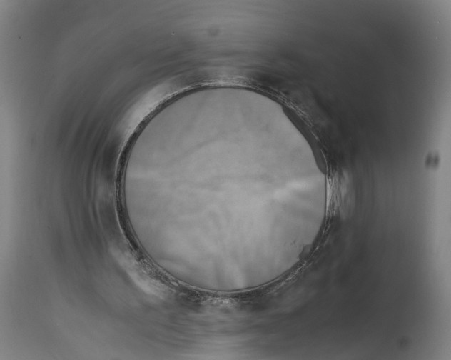 X0000114410195200911131436