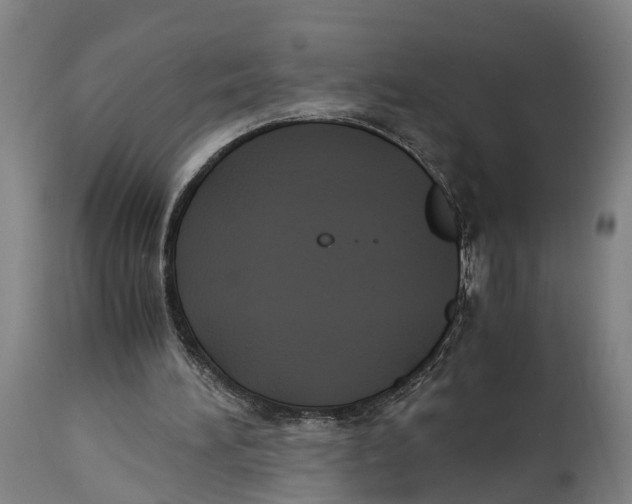 X0000114410196200911131436