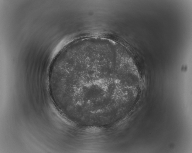 X0000114410198200911131436