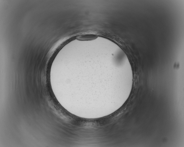 X0000114410200200911131436