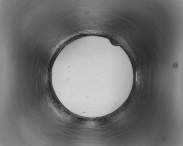 X0000114410204200911131436