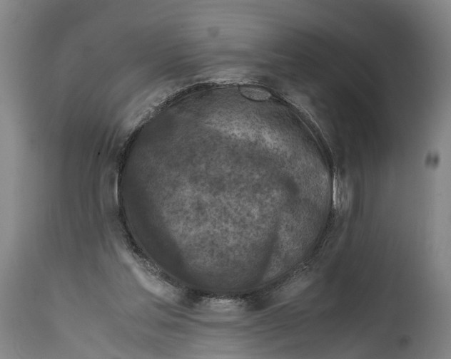 X0000114410205200911131436