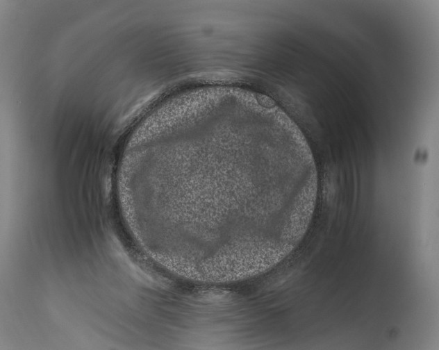 X0000114410206200911131436