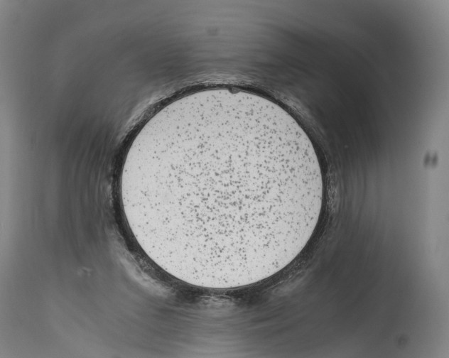 X0000114410207200911131436