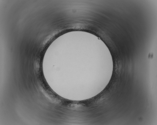 X0000114410208200911131436