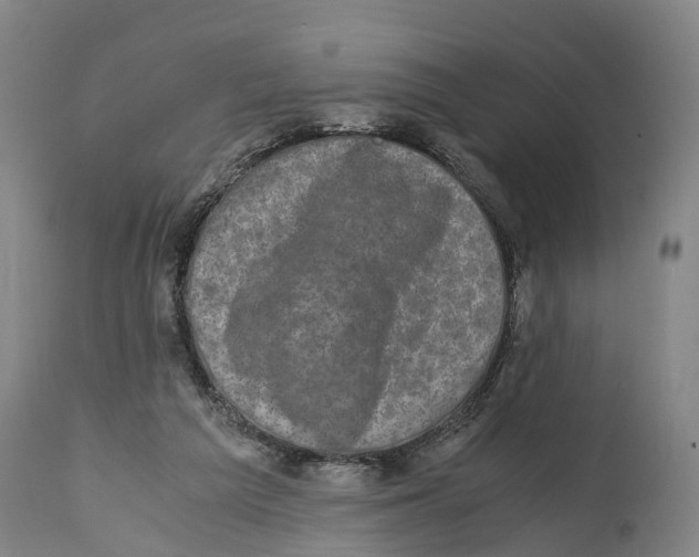 X0000114410209200911131436