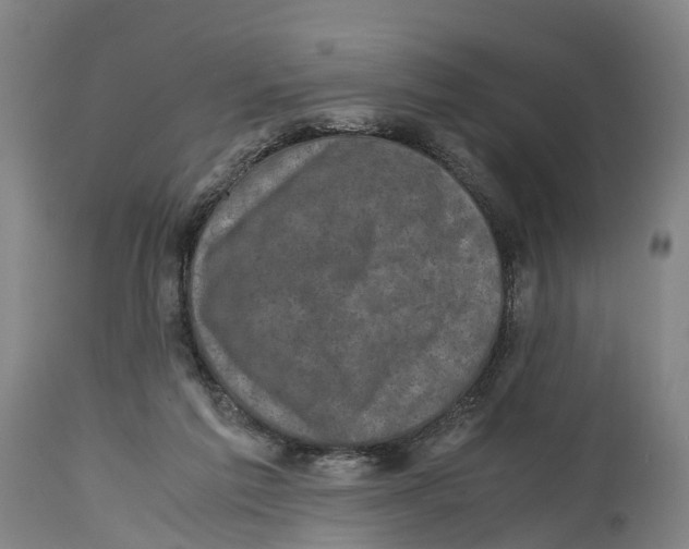 X0000114410213200911131436