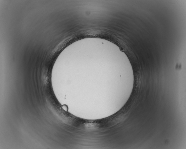 X0000114410216200911131436