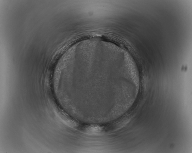 X0000114410217200911131436