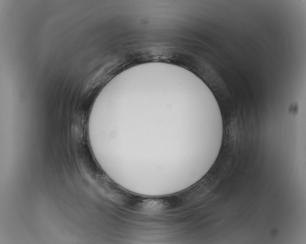 X0000114410218200911131436