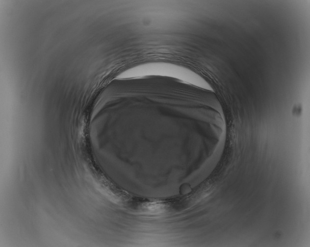 X0000114410219200911131436