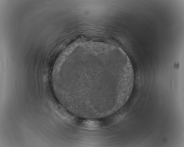 X0000114410221200911131436