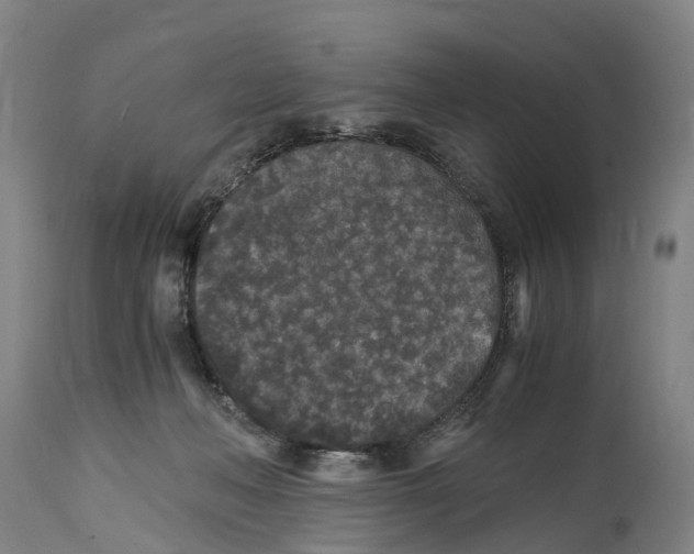 X0000114410222200911131436