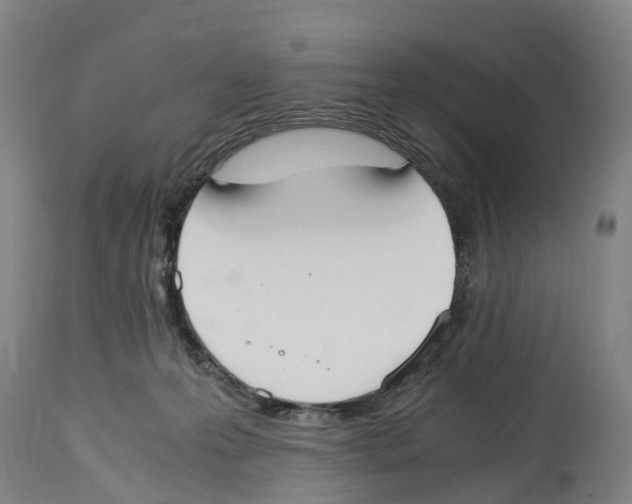 X0000114410223200911131436