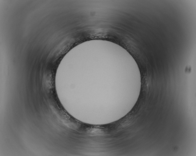 X0000114410224200911131436