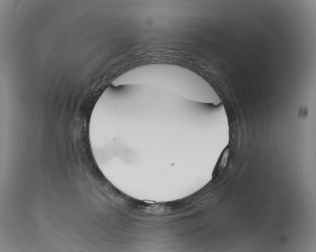 X0000114410225200911131436