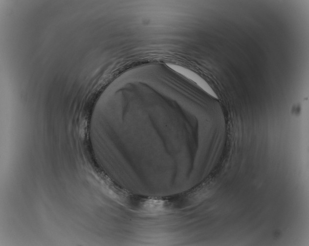 X0000114410227200911131436