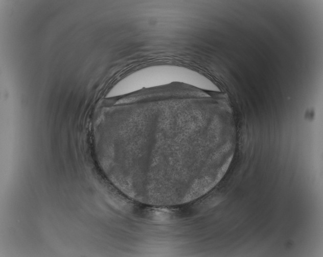 X0000114410229200911131435