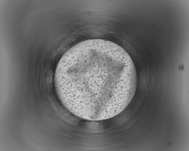 X0000114410230200911131435