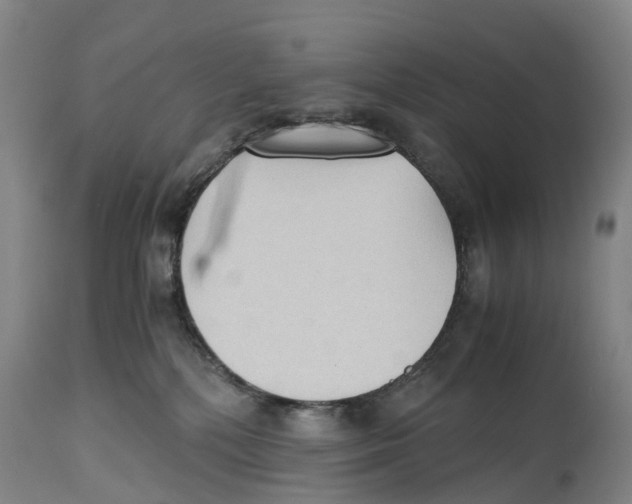 X0000114410232200911131435