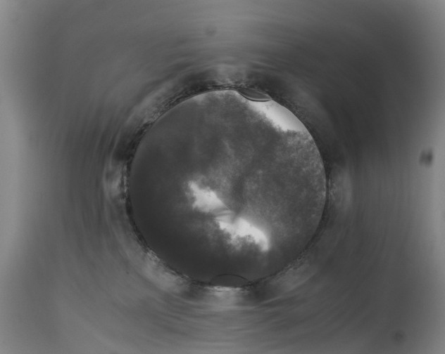 X0000114410233200911131435