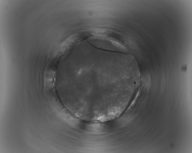 X0000114410237200911131435