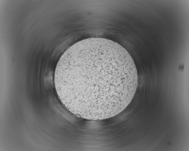 X0000114410238200911131435