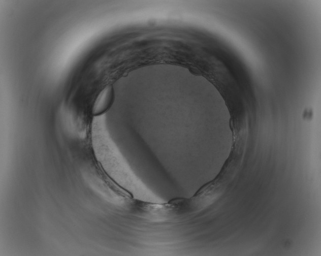 X0000114410239200911131435