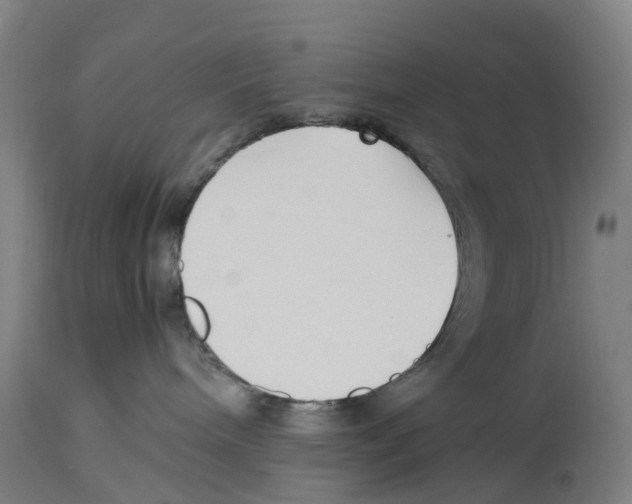 X0000114410240200911131435