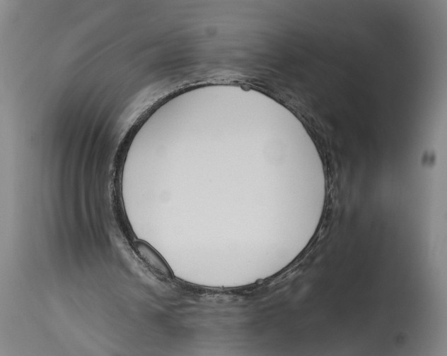 X0000114410242200911131435